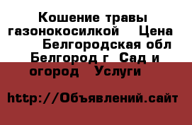 Кошение травы газонокосилкой. › Цена ­ 250 - Белгородская обл., Белгород г. Сад и огород » Услуги   